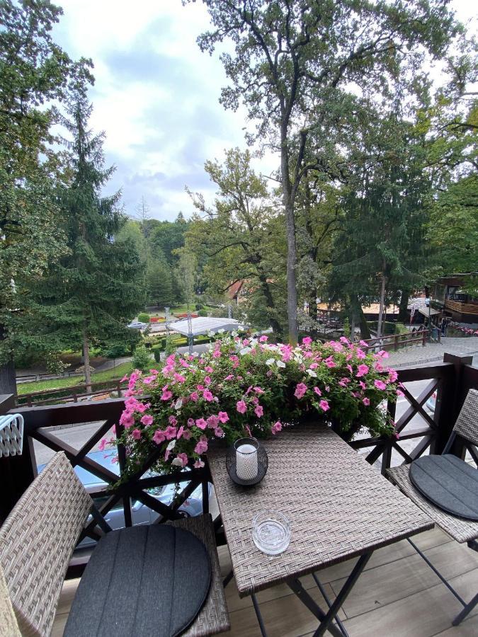 Amethyst Bed & Breakfast Sovata Dış mekan fotoğraf