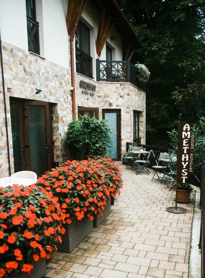 Amethyst Bed & Breakfast Sovata Dış mekan fotoğraf